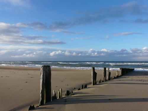 Beatrice Ver-sur-Mer